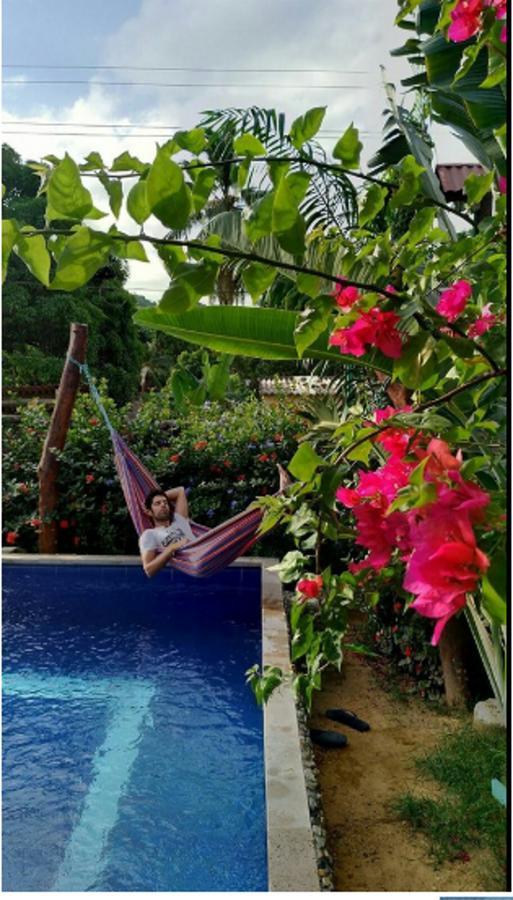 Tribe Otel Palomino Dış mekan fotoğraf